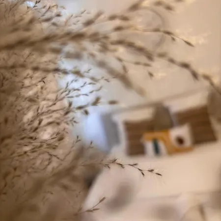 Louis Ricard 3* Ruan