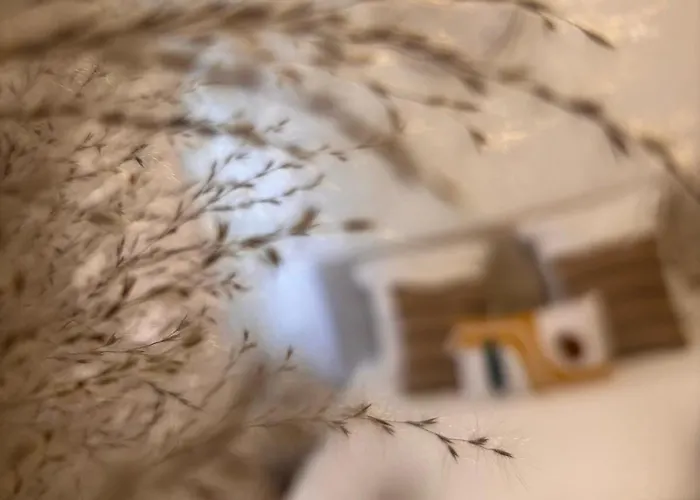 Louis Ricard 3* רואן